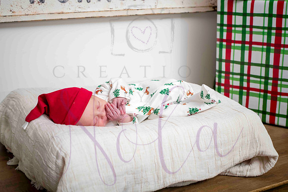Ellie Lauer 0198