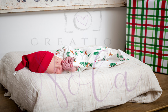 Ellie Lauer 0198