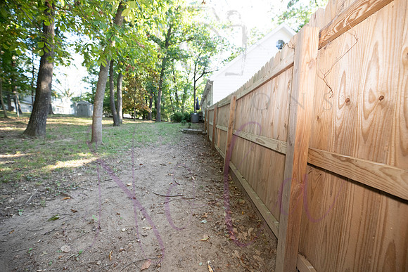 Betsy Arbor 0101