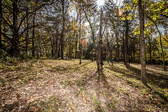Betsy Locust Grove 0081