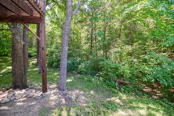 Betsy 3602 Berkshire 0025