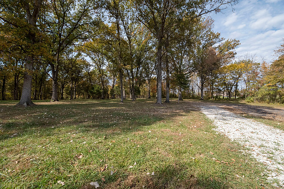 Betsy Locust Grove 0130