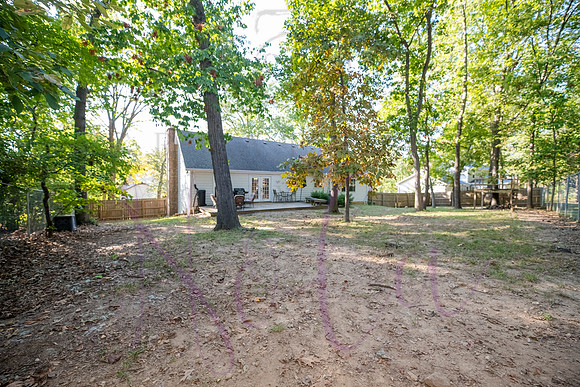 Betsy Arbor 0095