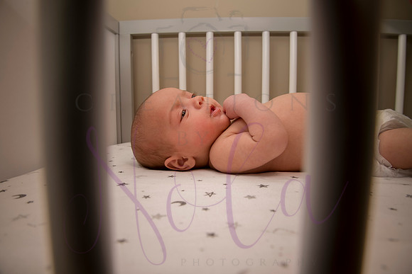 Lee Melanie 2024 0290