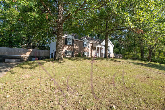 Betsy Arbor 0108