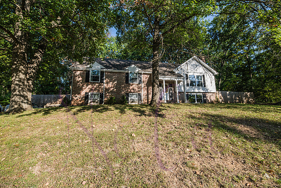 Betsy Arbor 0110