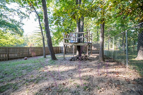 Betsy Arbor 0097