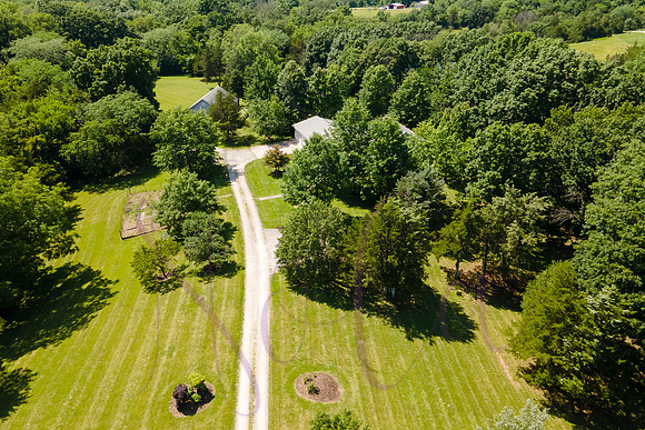 Betsy Shady Hills 2025 0134