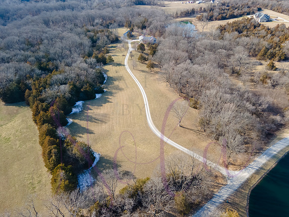 Betsy Shady Hills 0013