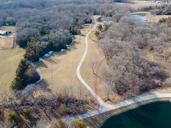 Betsy Shady Hills 0012