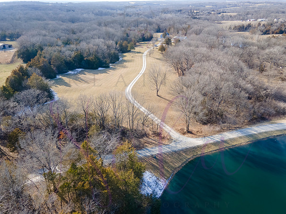Betsy Shady Hills 0011