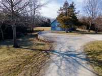 Betsy Shady Hills 0005