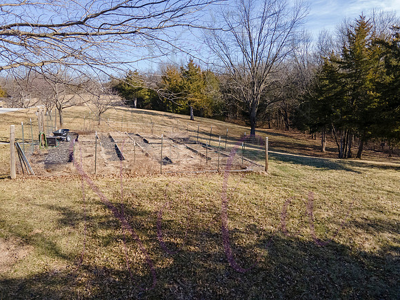 Betsy Shady Hills 0010