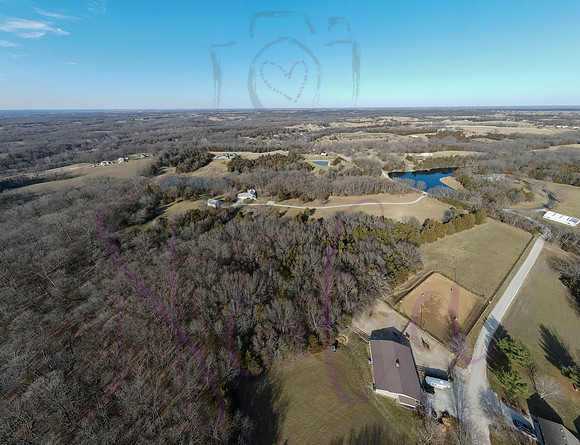 Betsy Shady Hills 0028