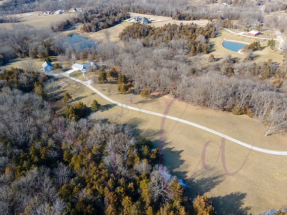 Betsy Shady Hills 0014