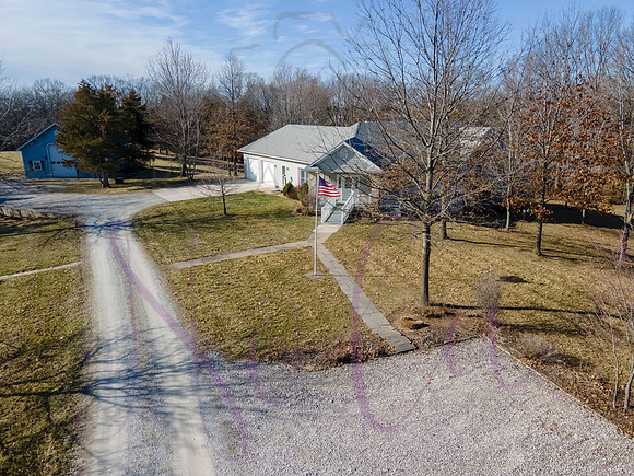 Betsy Shady Hills 0001