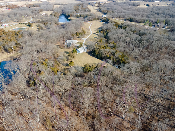 Betsy Shady Hills 0015