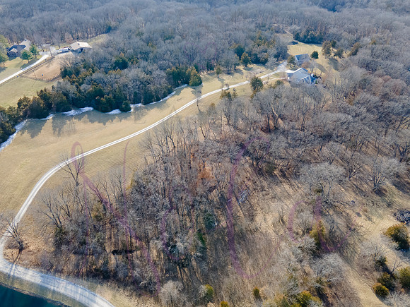 Betsy Shady Hills 0029