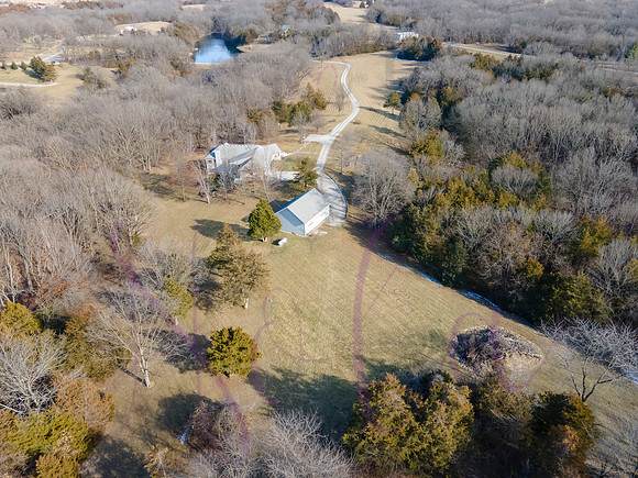 Betsy Shady Hills 0017