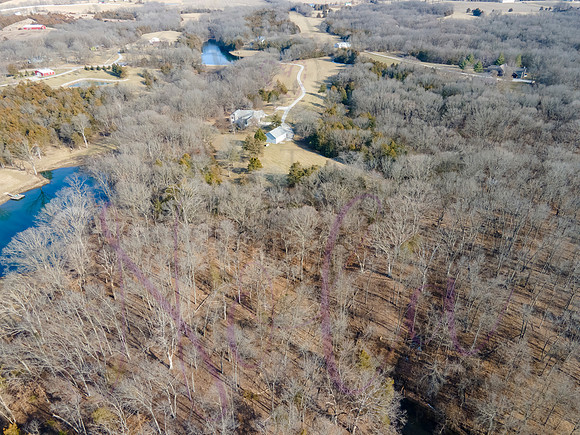 Betsy Shady Hills 0016