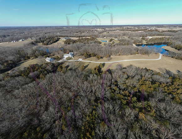 Betsy Shady Hills 0027