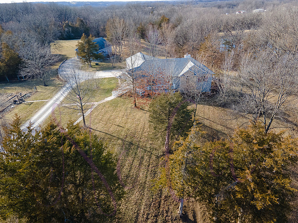 Betsy Shady Hills 0033