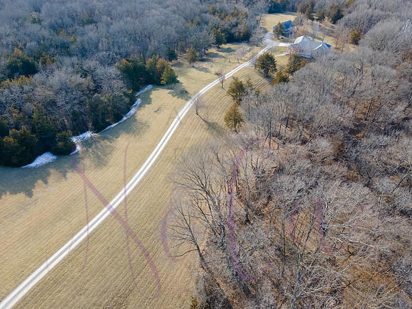 Betsy Shady Hills 0032
