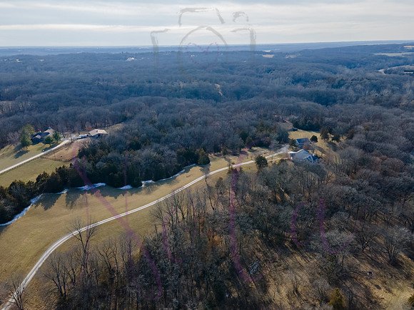 Betsy Shady Hills 0030
