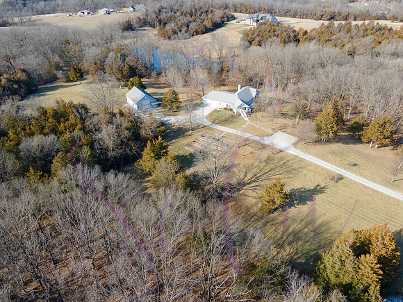 Betsy Shady Hills 0025