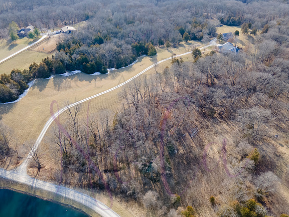 Betsy Shady Hills 0031