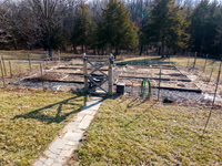 Betsy Shady Hills 0008