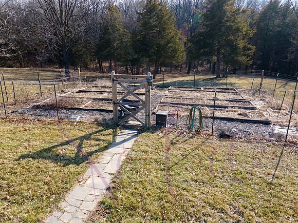 Betsy Shady Hills 0008