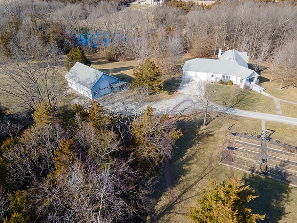 Betsy Shady Hills 0022