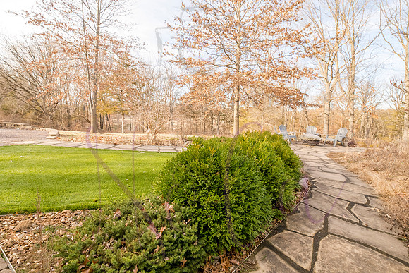 Betsy Shady Hills 0134