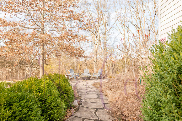 Betsy Shady Hills 0133