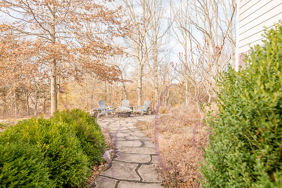 Betsy Shady Hills 0132