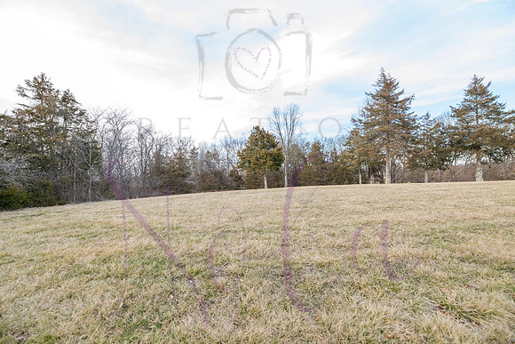 Betsy Shady Hills 0192