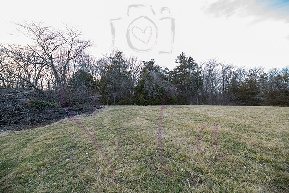 Betsy Shady Hills 0191