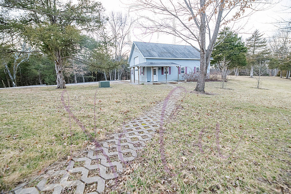 Betsy Shady Hills 0184