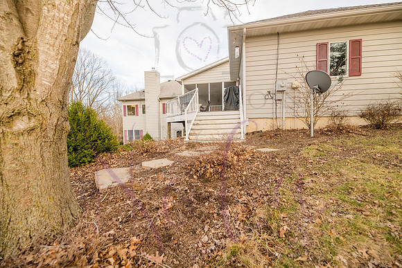 Betsy Shady Hills 0183