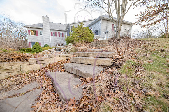 Betsy Shady Hills 0182