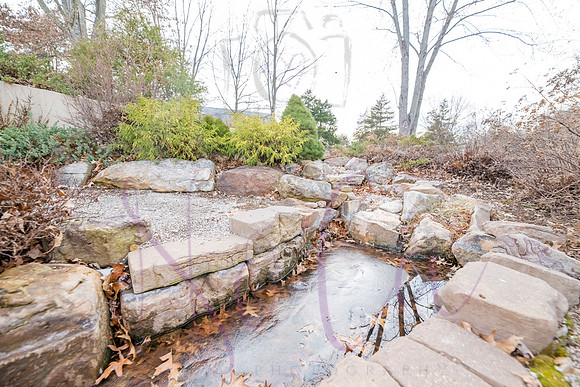Betsy Shady Hills 0178