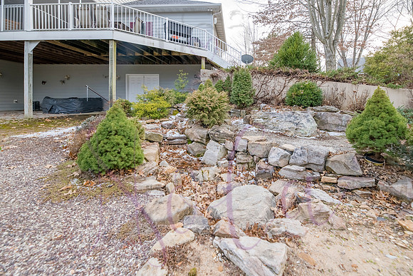Betsy Shady Hills 0177