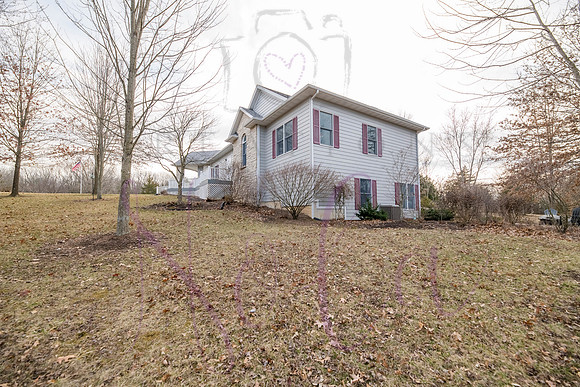 Betsy Shady Hills 0174