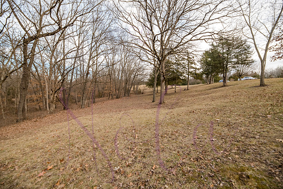 Betsy Shady Hills 0173