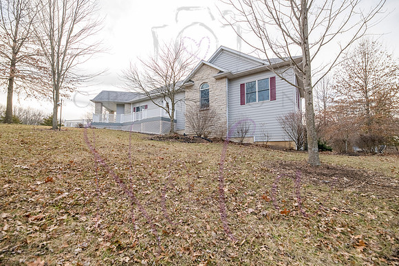 Betsy Shady Hills 0172