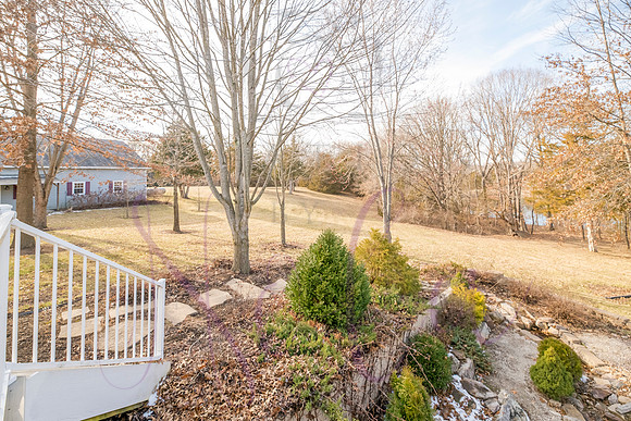Betsy Shady Hills 0050