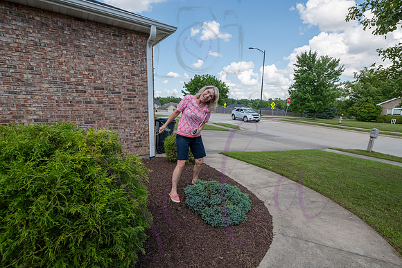 Betsy Limestone 0003