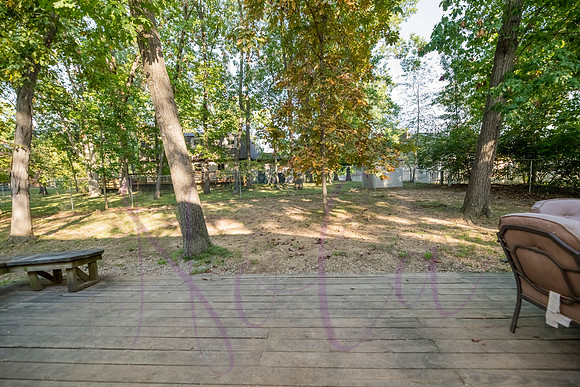 Betsy Arbor 0089