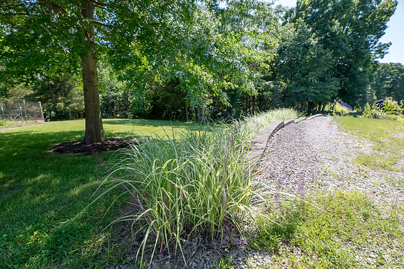 Betsy Shady Hills 2025 0067